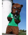 Beaver mascot costume