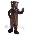 Beaver mascot costume