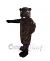 Beaver mascot costume