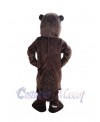 Beaver mascot costume