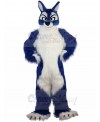 Wolf mascot costume