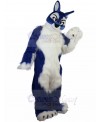 Wolf mascot costume