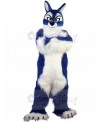 Wolf mascot costume
