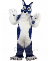 Wolf mascot costume