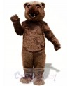 Brown Bear Mascot Costume