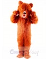 Grizzly Bear Mascot Costume