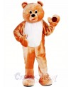 Mens Honey Bear Mascot Costume