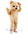 Teddy Bear Mascot Costume