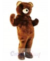 Brown Bear Mascot Costume