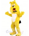 Cartoon Bulldog Mascot Costume