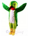 Hummingbird Mascot Costume