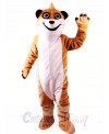 Meerkat Mascot Costume