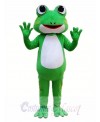 Green Frog Mascot Costume