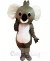 Cartoon Koala Mascot Costume