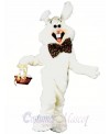 Benny Rabbit Easter Bunny Mascot Costume