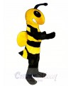 Killer Bee Mascot Costumes