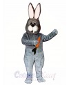 Toothless Rabbit Easter Bunny Mascot Costume