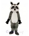 Flat Face Small Raccoon Mascot Adult Costume