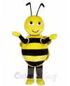 Cute Yellow Little Bee Mascot Costume