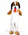 St Bernard Dog Mascot Costume