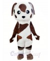 Baby Brown and White St Bernard Dog Mascot Costume