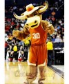 Texas Longhorns Hook'em Sport Bull Mascot Costume