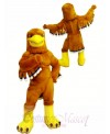 Golden Eagle Mascot Costume for High School