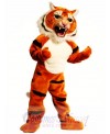 Super Muscle Tiger Mascot Costume