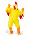 Funny Chicken Adult Mascot Costume