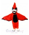 New Big Red Cardinal Mascot Costume