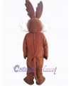 Coyote mascot costume