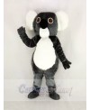 Cute Gray Koala Mascot Costume Cartoon