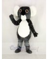 Cute Gray Koala Mascot Costume Cartoon