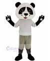 Cute Panda with Gray Coat Mascot Costume Animal