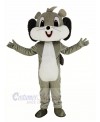 Cute Grey Squirrel Mascot Costume Animal