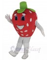 Strawberry mascot costume