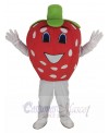 Strawberry mascot costume