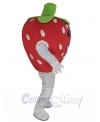 Strawberry mascot costume