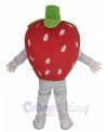 Strawberry mascot costume