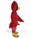 Cardinal Bird mascot costume