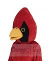 Cardinal Bird mascot costume