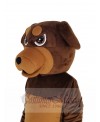 Rottweiler Dog mascot costume