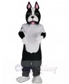 Terrier Dog mascot costume
