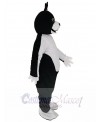 Terrier Dog mascot costume