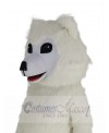 Samoyed Dog mascot costume