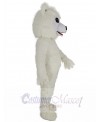 Samoyed Dog mascot costume