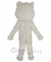 Samoyed Dog mascot costume