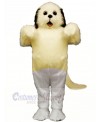 Cute Shaggy Maggy Dog with Grey Mascot Costume School