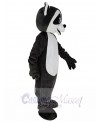 Raccoon mascot costume