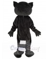 Raccoon mascot costume